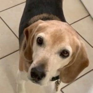 Meet your Posher, Patricia